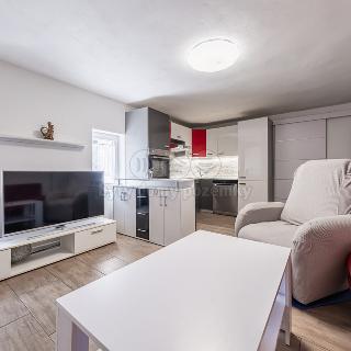 Prodej bytu 3+kk 88 m² Lážovice