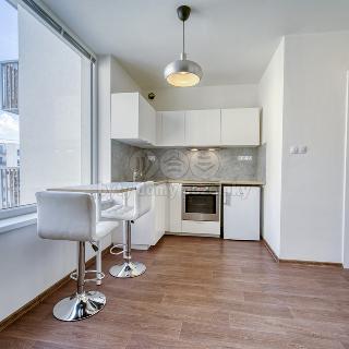 Pronájem bytu 1+kk a garsoniéry 29 m² Plzeň, Otýlie Beníškové