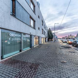 Pronájem obchodu 277 m² Praha, Bělohorská