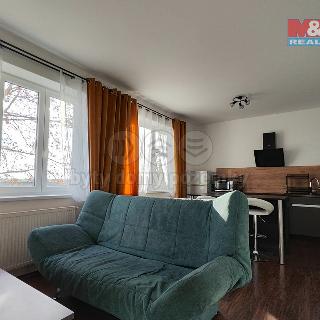 Pronájem bytu 2+kk 50 m² Milovice, Rakouská