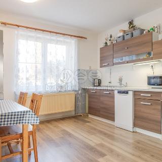 Prodej bytu 2+1 46 m² Cvikov, Mánesova