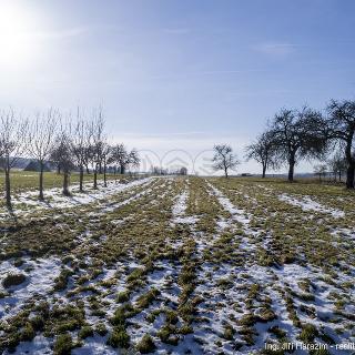 Prodej stavební parcely Křekov