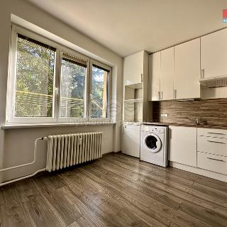 Prodej bytu 1+kk a garsoniéry 25 m² Ostrava, Ukrajinská