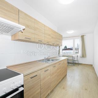 Pronájem bytu 3+kk 45 m² Dnešice