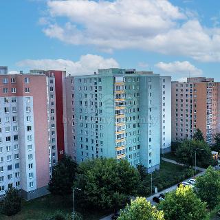 Prodej bytu 1+kk a garsoniéry 32 m² Brno, Spodní