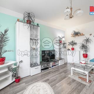 Pronájem bytu 1+1 35 m² Chomutov, Písečná