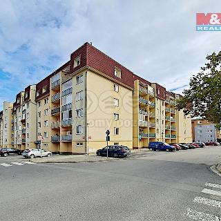 Pronájem bytu 1+1 39 m² Odolena Voda, K Cukrovaru