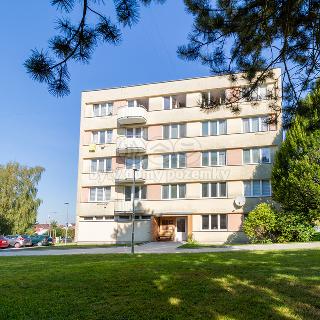 Prodej bytu 3+1 62 m² Žirovnice, Sídliště