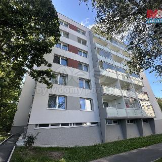 Prodej bytu 1+kk a garsoniéry 27 m² Hradec Králové, Hradecká