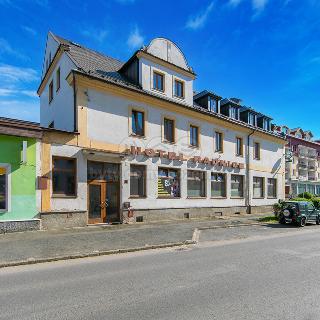 Prodej hotelu a penzionu 718 m² Nýrsko, Klatovská