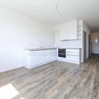 Pronájem bytu 2+kk 84 m² Klatovy, K Čínovu