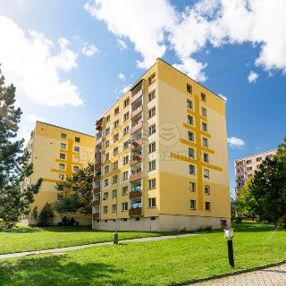 Prodej bytu 2+1 43 m² Ústí nad Labem, Peškova