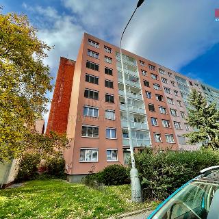 Pronájem bytu 3+kk 60 m² Praha, Papírníkova