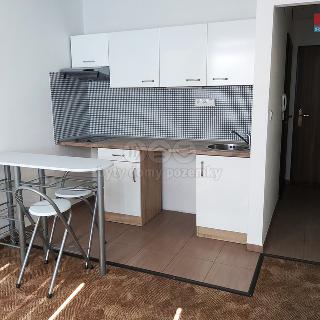 Pronájem bytu 1+kk a garsoniéry 20 m² Louny, Slovenského národního povstání