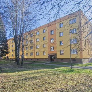 Prodej bytu 1+1 37 m² Karviná, Haškova