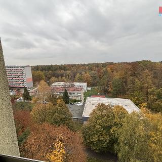 Prodej bytu 1+kk a garsoniéry 27 m² Ostrava, Výškovická