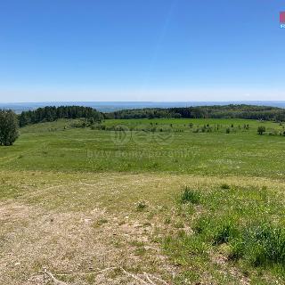 Prodej stavební parcely Boleboř