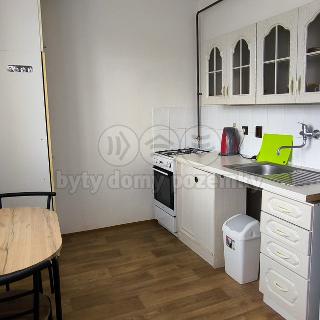 Prodej bytu 1+kk a garsoniéry 25 m² Podbořany, Švermova