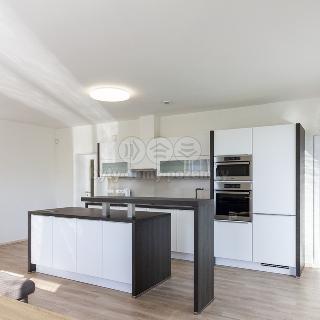 Pronájem bytu 2+kk 60 m² Plzeň, Koterovská