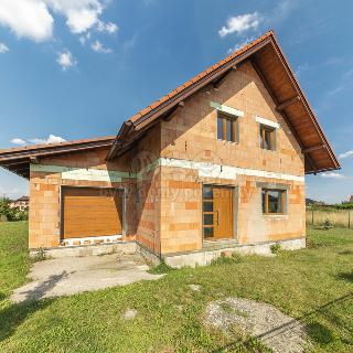 Prodej rodinného domu 179 m² Pátek, Krátká