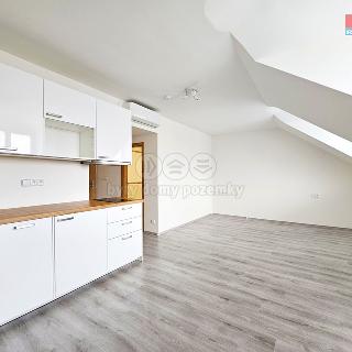 Pronájem bytu 1+kk a garsoniéry 32 m² Praha, Radlická