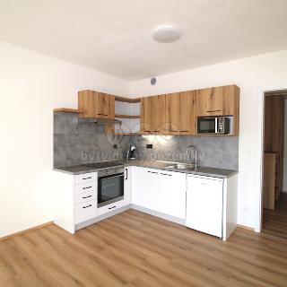 Pronájem bytu 1+kk a garsoniéry 31 m² Kutná Hora, Plk. Loudy