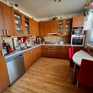 Prodej bytu 4+1 97 m² Frýdek-Místek, Mánesova