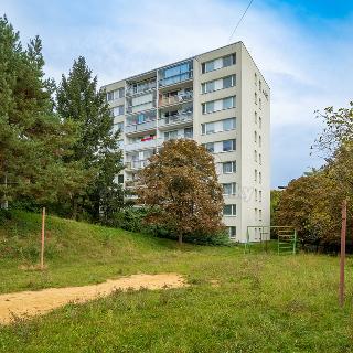 Prodej bytu 3+1 73 m² Praha, Písečná