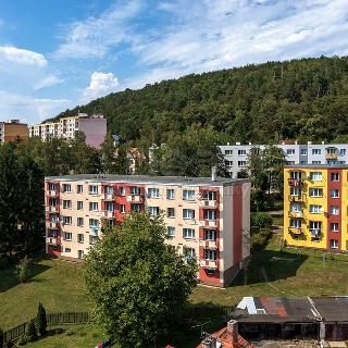 Prodej bytu 2+1 48 m² Děčín, Kamenická