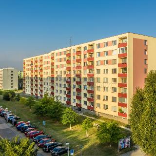 Prodej bytu 3+1 81 m² Mladá Boleslav, Na Radouči