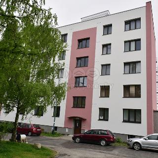 Pronájem bytu 2+1 55 m² Jihlava, Riegrova