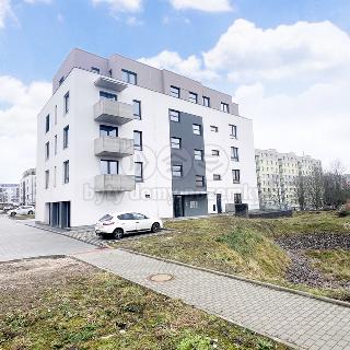 Pronájem bytu 1+kk a garsoniéry 40 m² Rychnov nad Kněžnou, Javornická