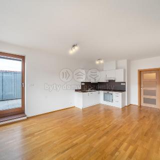 Pronájem bytu 2+kk 61 m² Praha, Lanžhotská