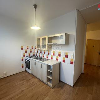 Pronájem bytu 1+1 35 m² Ostrava, Marie Majerové