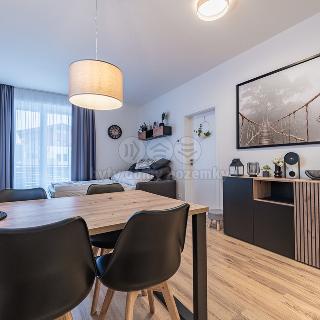 Prodej bytu 2+kk 45 m² Lipno nad Vltavou