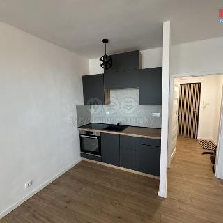 Pronájem bytu 1+kk, garsoniery 31 m² Karviná