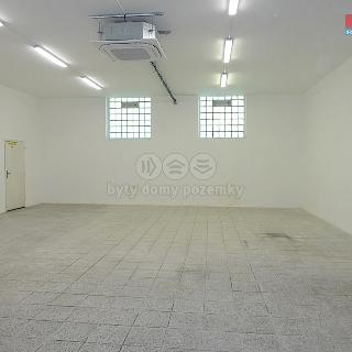 Pronájem skladu 125 m² Ostrov