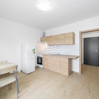 Pronájem bytu 2+kk 50 m² Dnešice