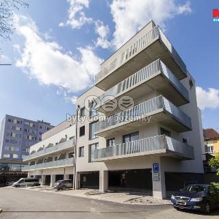 Pronájem bytu 2+kk 66 m² Beroun, Okružní