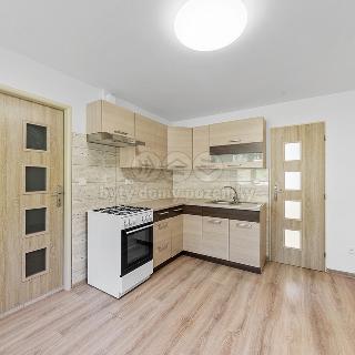 Pronájem bytu 2+1 59 m² Děčín, Vilsnická