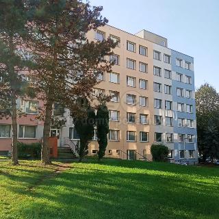 Pronájem bytu 1+kk, garsoniery 24 m² Březnice