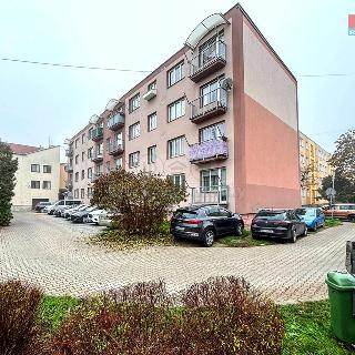 Prodej bytu 2+1 55 m² Lovosice, Kostelní