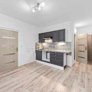 Prodej bytu 1+1 36 m² Ústí nad Labem, Jizerská