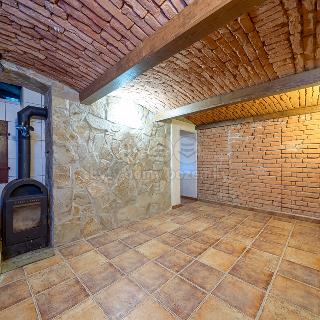 Prodej obchodu 38 m² Olomouc, Komenského