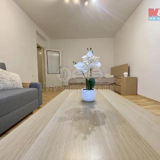 Pronájem bytu 1+1 36 m² Žďár nad Sázavou, Haškova