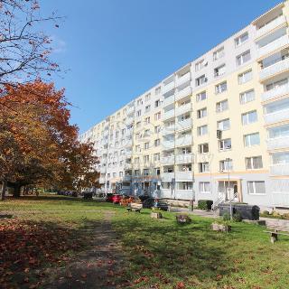 Pronájem bytu 1+kk a garsoniéry 23 m² Česká Lípa, Železničářská