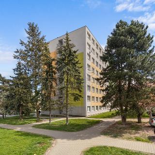 Pronájem bytu 2+kk 38 m² Kladno