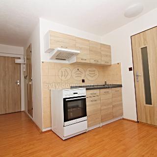 Pronájem bytu 1+1 35 m² Rumburk, Nerudova