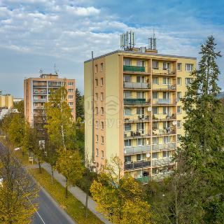 Prodej bytu 3+1 68 m² Bělá pod Bezdězem, Tyršova