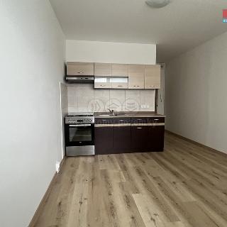 Pronájem bytu 1+1 35 m² Kadaň, Golovinova